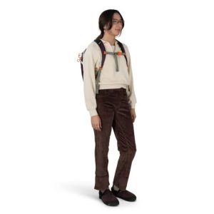Osprey Transporter Panel Loader Laptop Backpack – 20 L